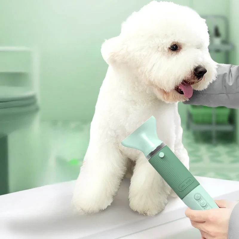 Intelligent Hair Dryer for Pet Grooming, Small Pet Hair Dryer, Household Negative Ion, High Power, Pet Hair Is Smooth