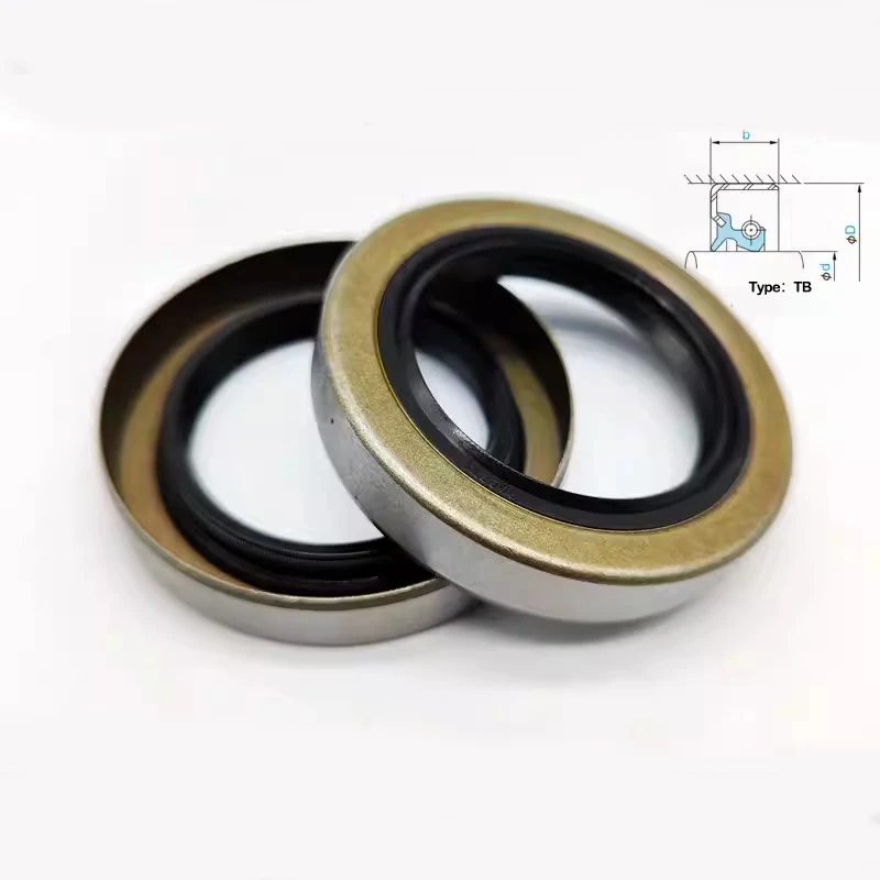 40-100mm,TB External Iron Shell Frame Oil Seal,Exposed Frame Oil Seal,Iron Sheet Oil Seal,Double Lip Dust-Proof Ring,12x20x5
