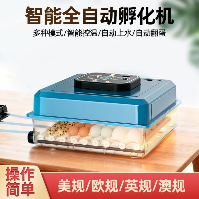 

For Sea Shipping, Customized Source Factory] Egg Incubator, Small Household Incubator, Chicken, Duck, Goose, Pigeon Incubation B