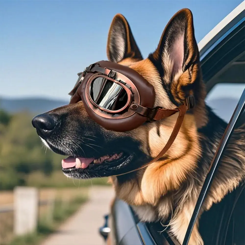 

Adjustable Straps Dog UV Protection Sunglasses Comfortable Fit Scratch Resistant Cat Dog Goggles Foldable Pet Sunglasses Outdoor
