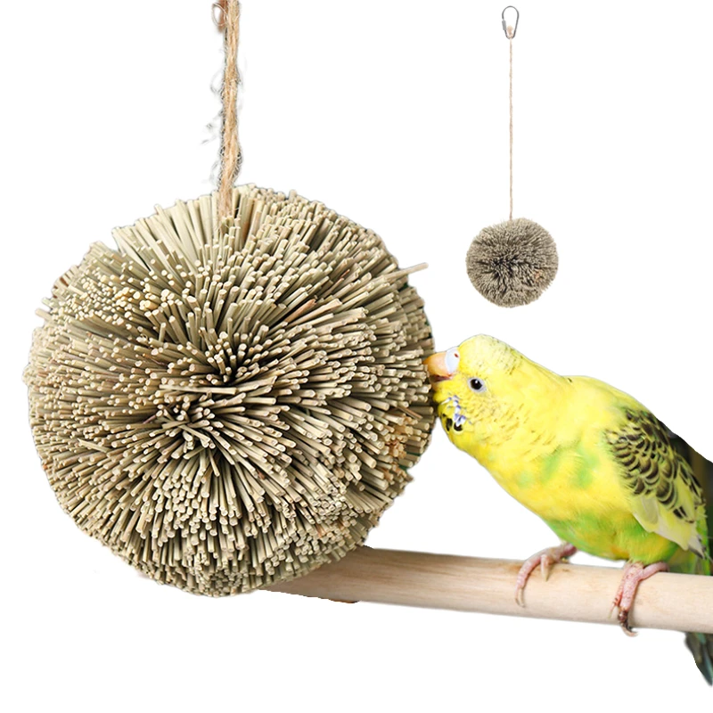 #5 Trending Hanging Bird Chew Toys Right Now