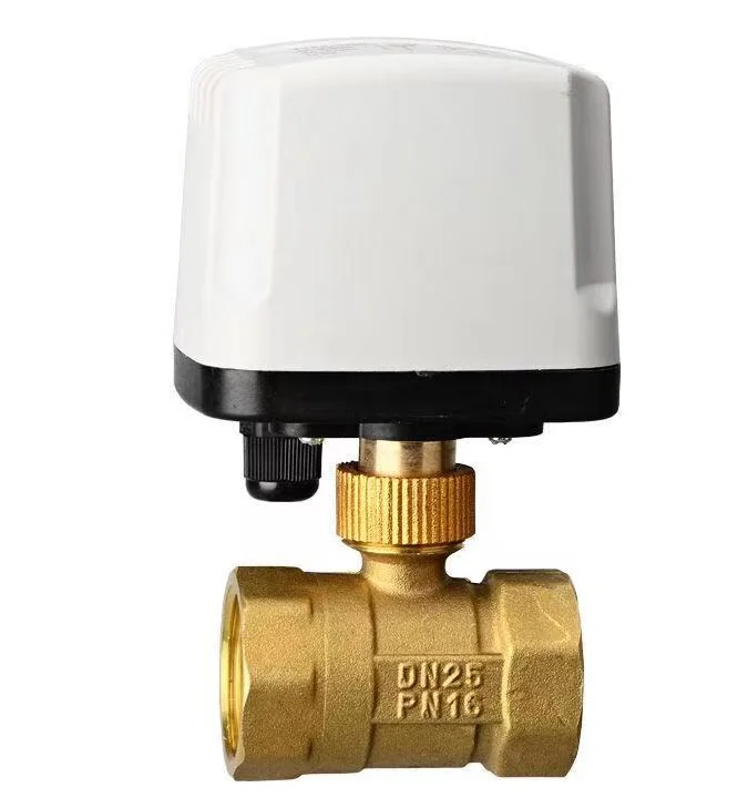 Two-Way IP65 Waterproof 1/2"-2" Motorized Brass Electric Ball Valve 220V/12V/24V Two Wire Control Valve for Water