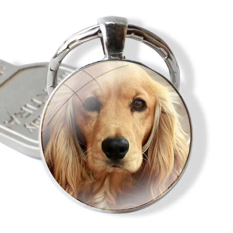 25mm Glass Cabohcon Keychain Key Rings for Women Men Jewelry Gift Cocker Spaniels dog puppies Poster