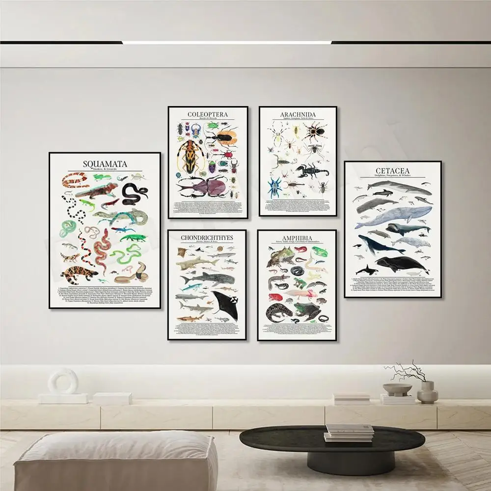 Lebendiges Amphibien-Meeresleben-Wissenschaftsposter, Frösche, Salamander, Schlangen, Eidechsen, Wale, Delfine, Haie, Spinnen, perfekte Wand, Dez