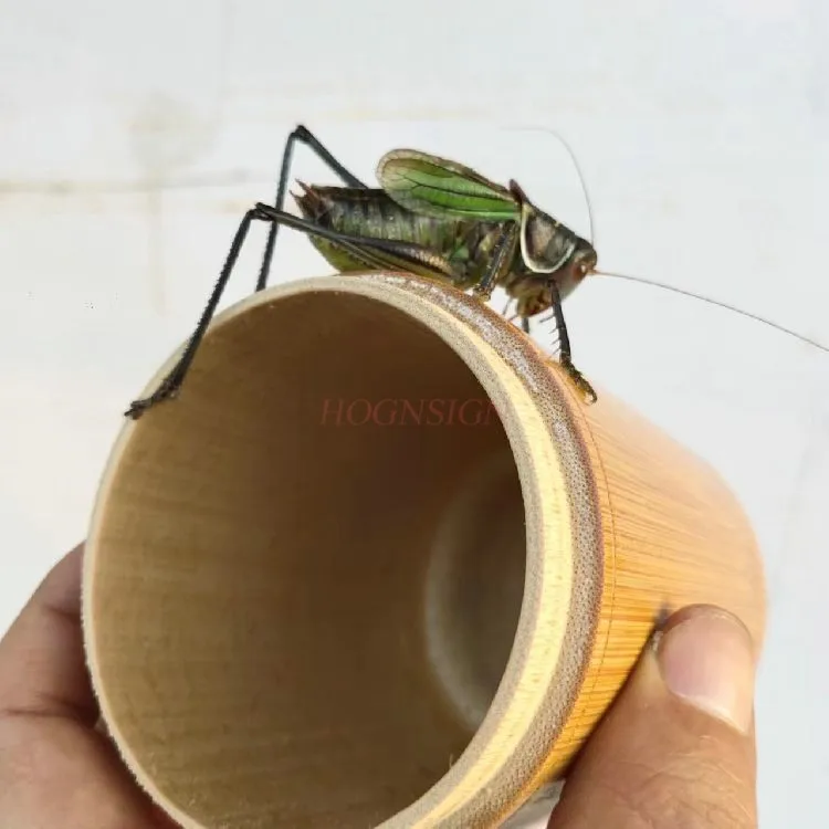 1pcs Grasshopper calling jar, bamboo making insect calling utensil, exquisite cage