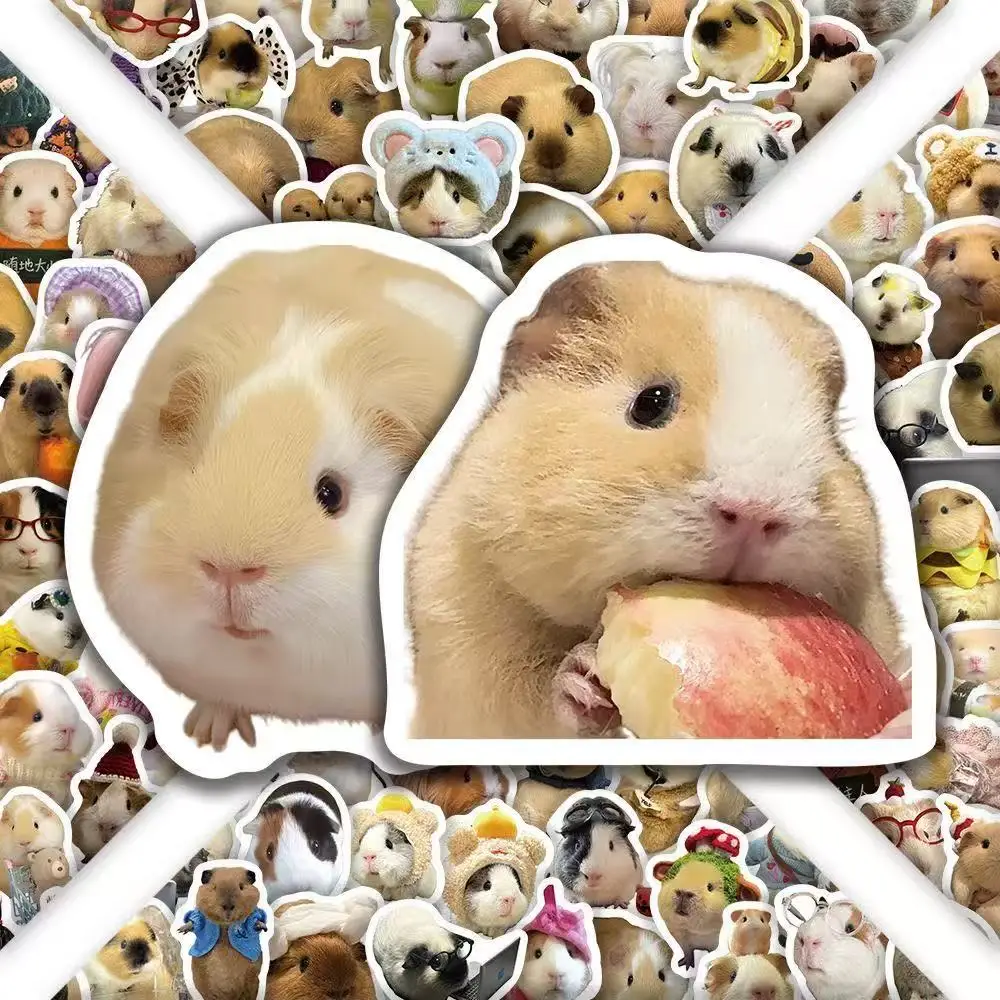 50 ملصقًا لبطاقة، إيموجيس القطط الشهير على الإنترنت، ملصقات جرافيتي، ستائر يدوية لطيفة ومضحكة ومضحكة عبر الحدود #5