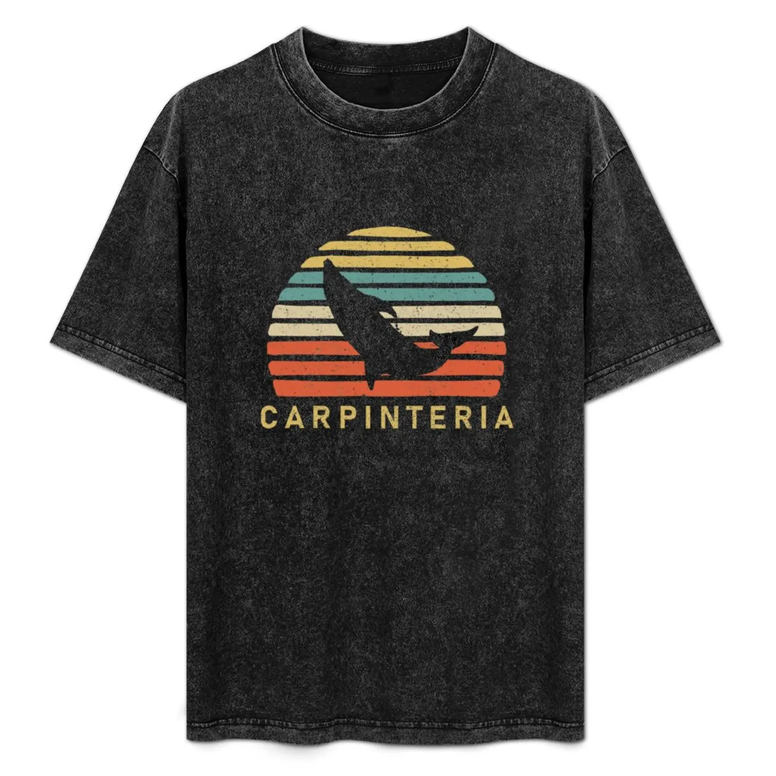 Retro Carpinteria Dolphin Gift T-Shirt Work Daily Short Sleeve Top