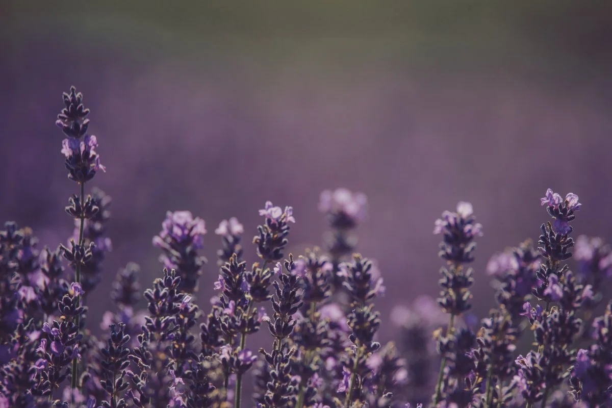 

14.6Inch Andriod 13 Radio CarPlay For Toyota Tundra series 2020-2024 Cars GPS Navigation Multimedia Player screen