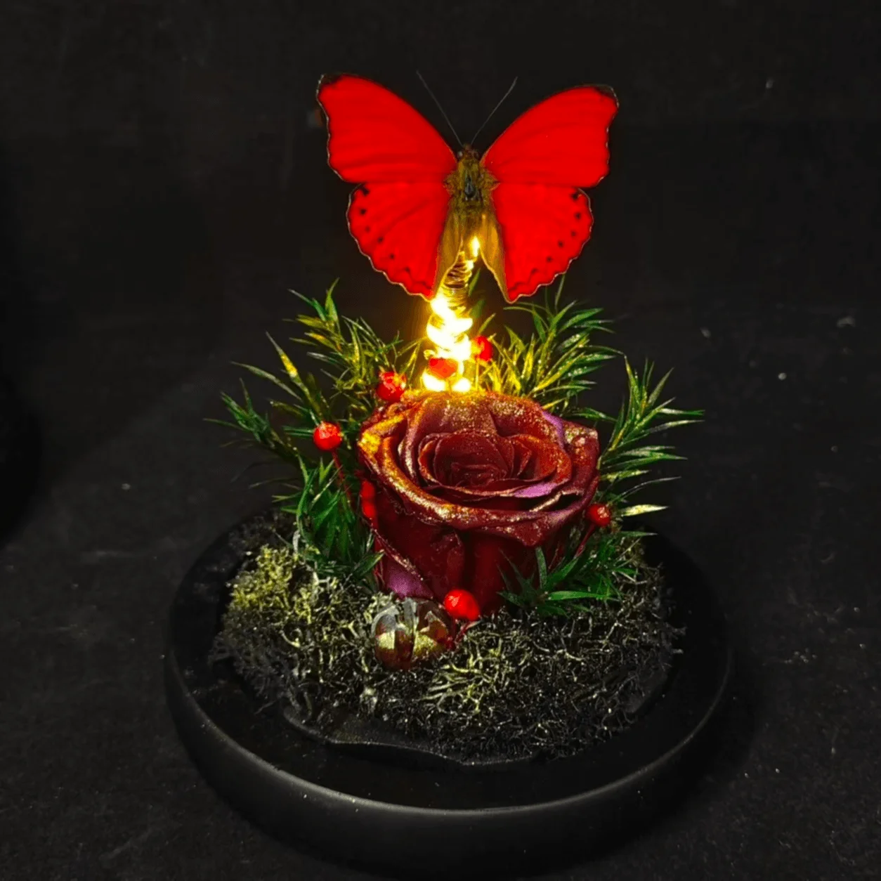 Glass Dome Display with Cymothoe Sangaris Butterfly & Preserved Rose, Warm Ambient Light, Unique Desktop Art Decor for Gifting