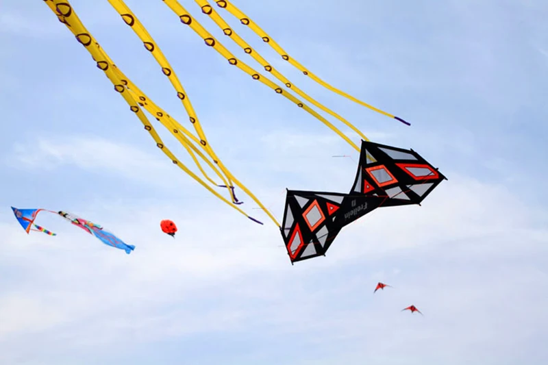 Strong kite quad line stunt kite cerf volant Freilein kites for adults kites adult games for entertainment jouer acquilone koi