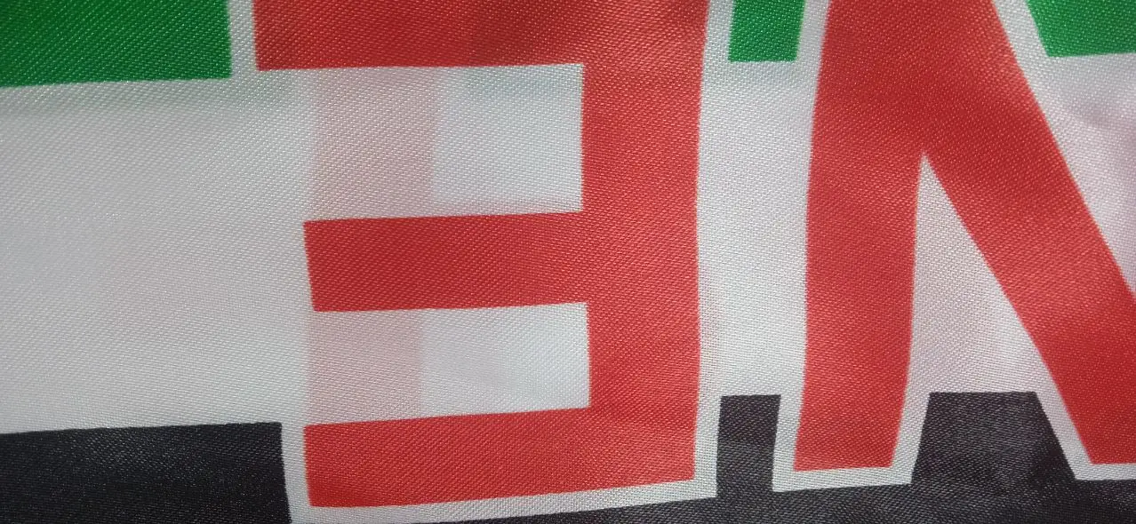 Flagnshow 100% Stain Double Side Printing Palestine Flag Scarf With tassel