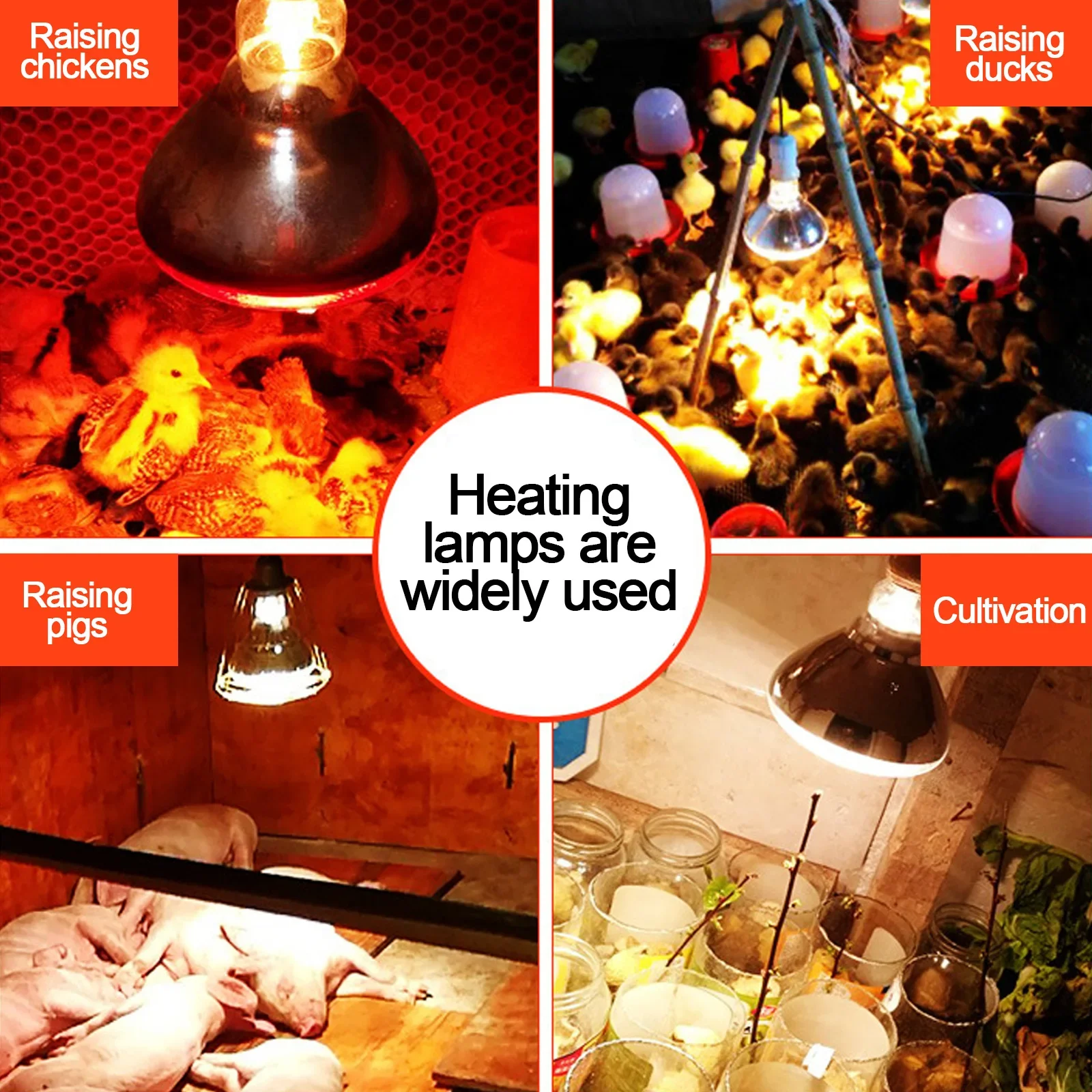 Explosion proof thickened heating bulb constant temperature heating lamp for pet and livestock breeding