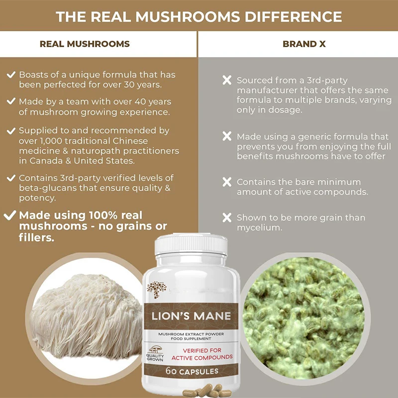 Lion Mane Ganoderma Mushroom Capsules Enhance Immunity, Improve Sleep Quality, Reduce Fatigue, and Improve Physical Fitness view 2