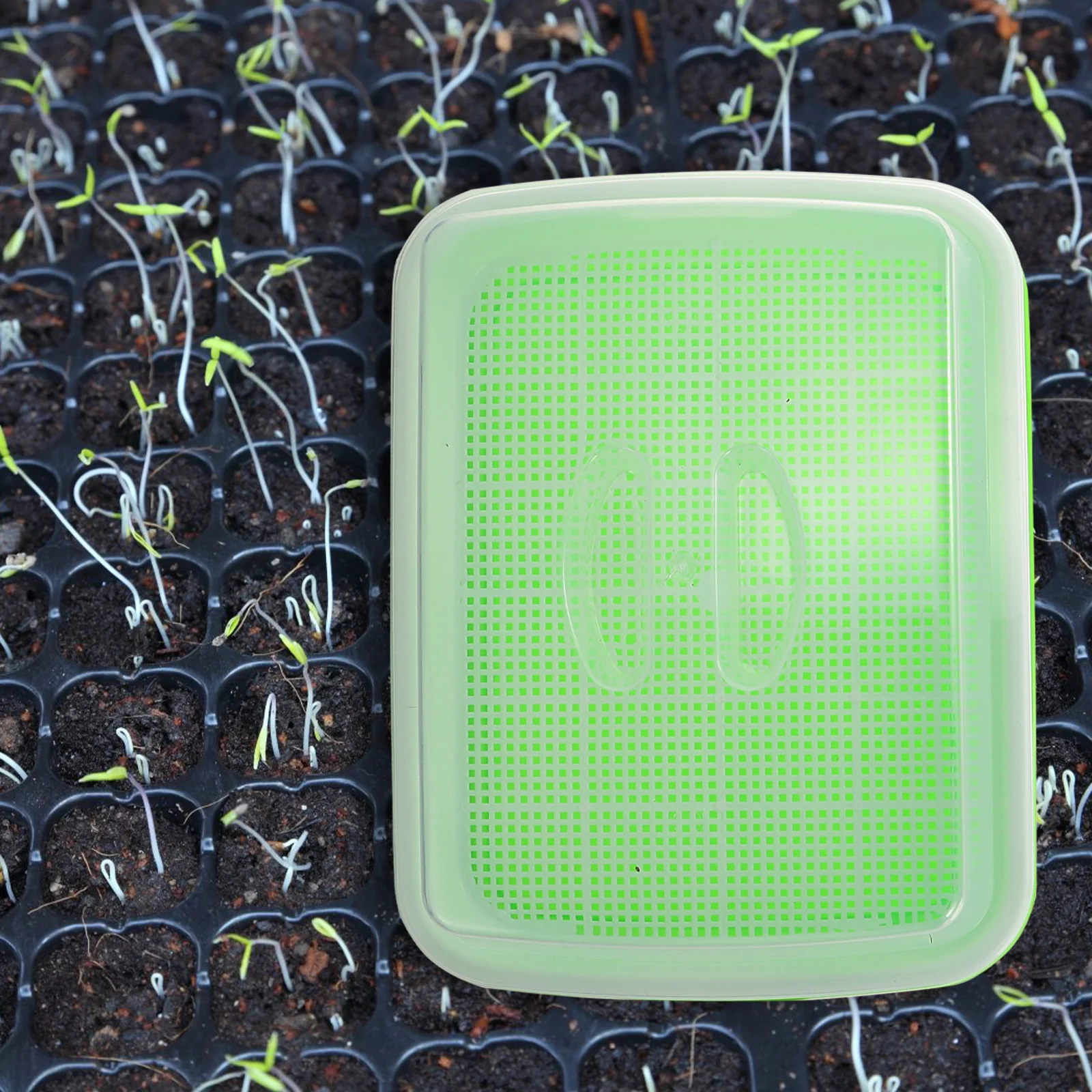 

1Set Seedlings Tray Gardening Nursing Plastic Durable Microgreens Growing Tray for Germination Sprouter Nursery Planting