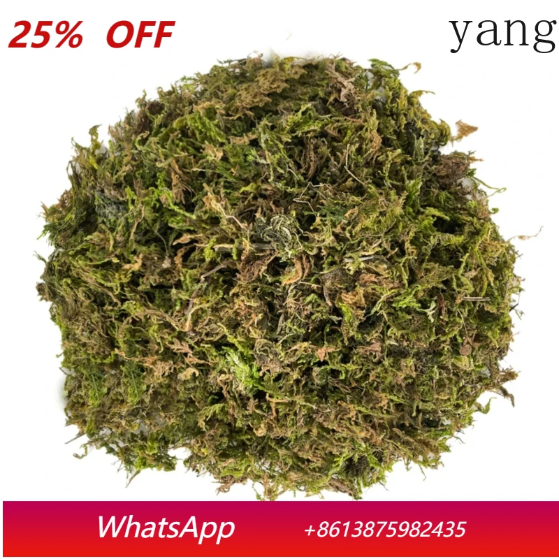 

LH Crafts Grass Natural Artificial Dry Moss Plant Home Room Garden Decoration