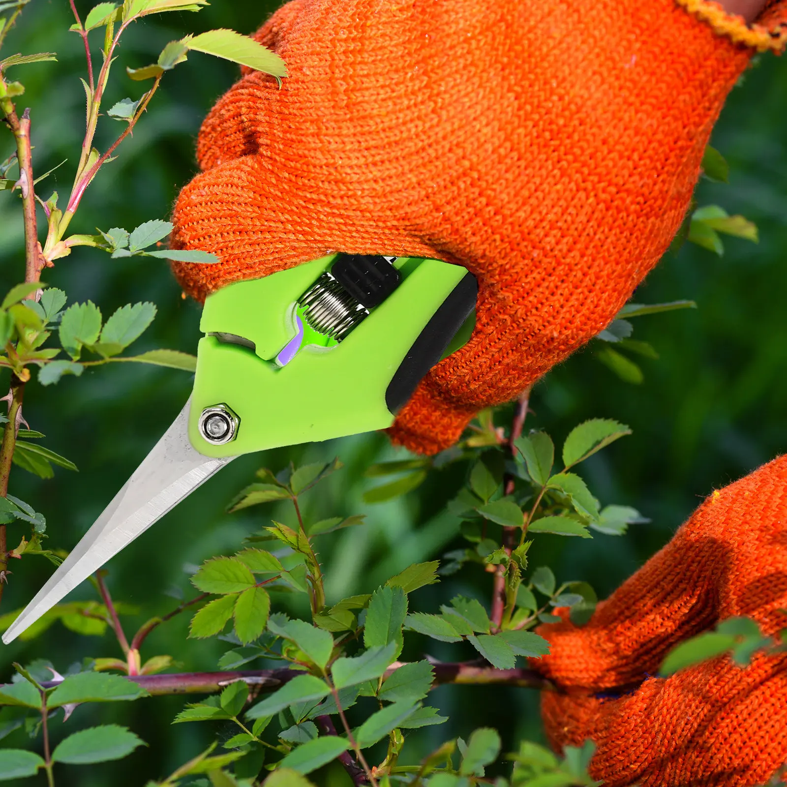 

2Pcs Professional Stainless Steel Garden Pruning Shears Plastic Handle Portable Easy Operate Trimming Branches Hedges Orchards