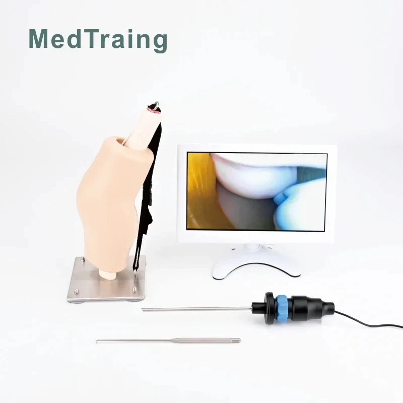 Arthroscopic Surgery Simulation System Knee Module Instruments Integrated Visualization Unit Medical Training Kit