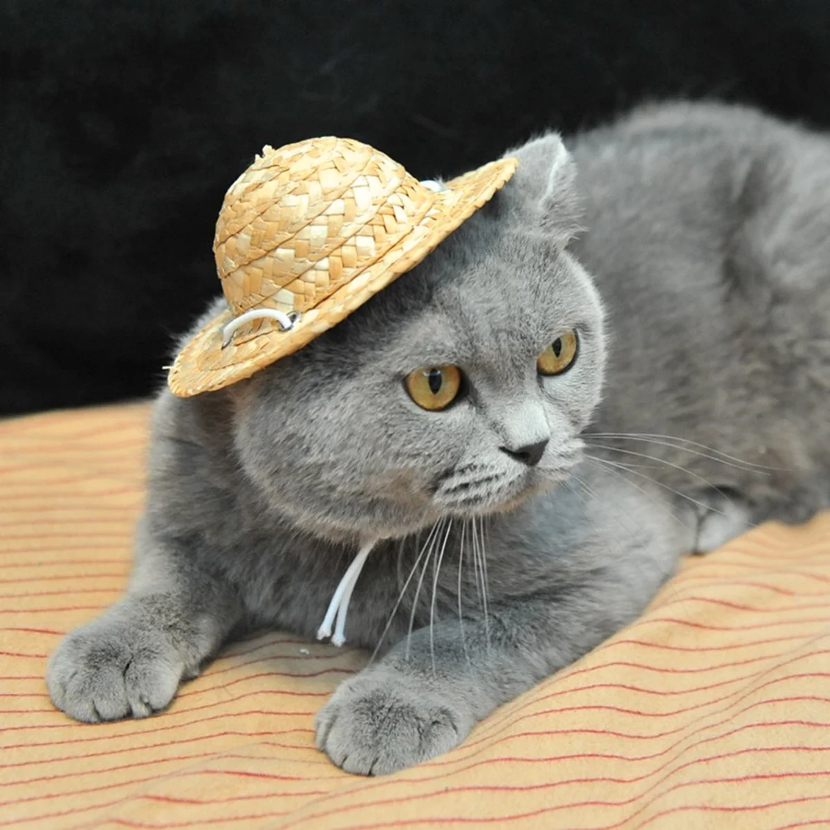 

Straw Hat for Pets Uv Protection Adjustable Fit for Puppy Cats Holiday Costume Beach Party Accessory Breathable Comfortable Pet