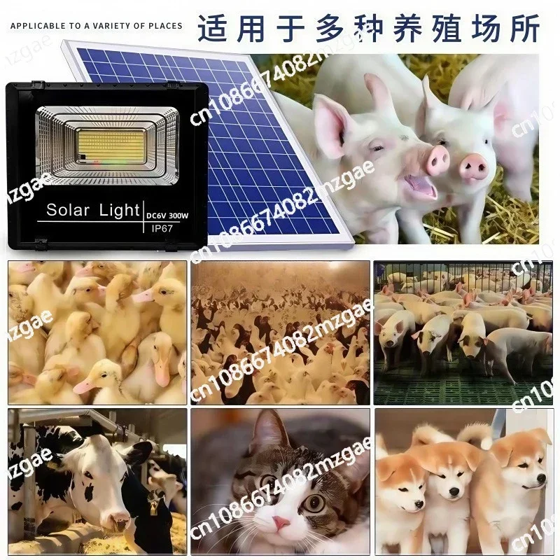 Thumbnail 4 - #23 Best Pet Pens to Buy In 2026