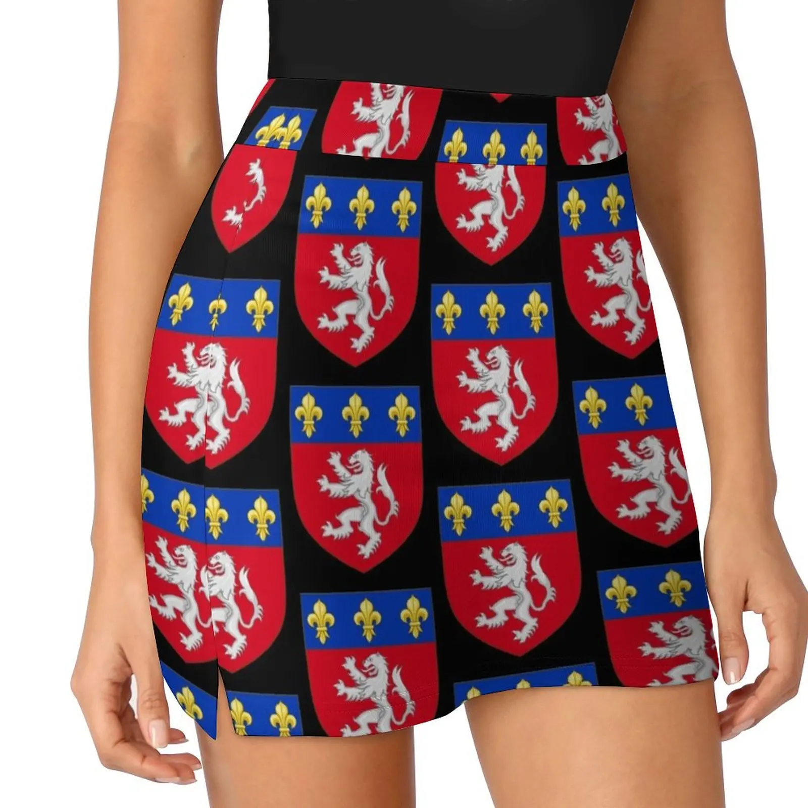 French France Coat of Arms 0092 Arms of Lyon Mini Skirt Women skirts short skirt japanese fashion