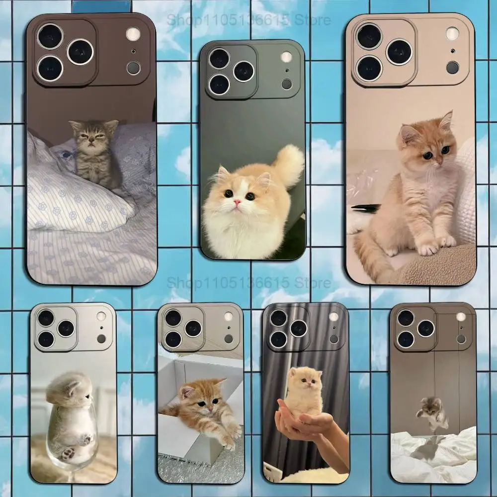 

Cute Animals Clingy Cats Phone Case For iPhone 17,16,15,14,13,12,11,Plus,Pro Max,XS,X,XR,SE,Mini,8,7,Soft Silicone Black Cover