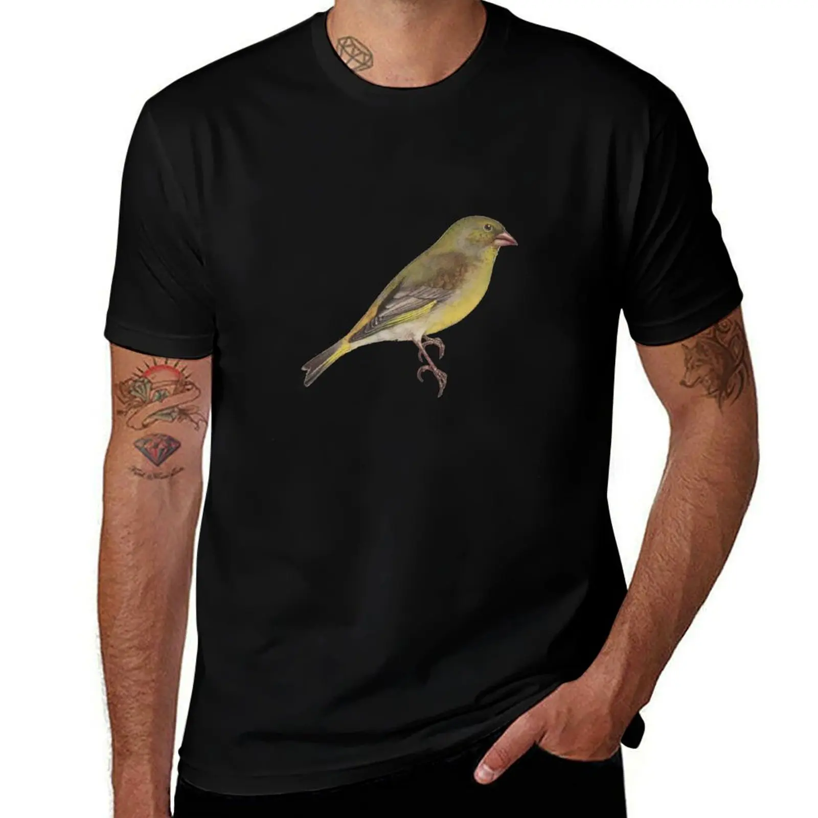 

Bird Art - European greenfinch - Single Bird - Bird Print Vintage Print T-Shirt summer clothes shirts men