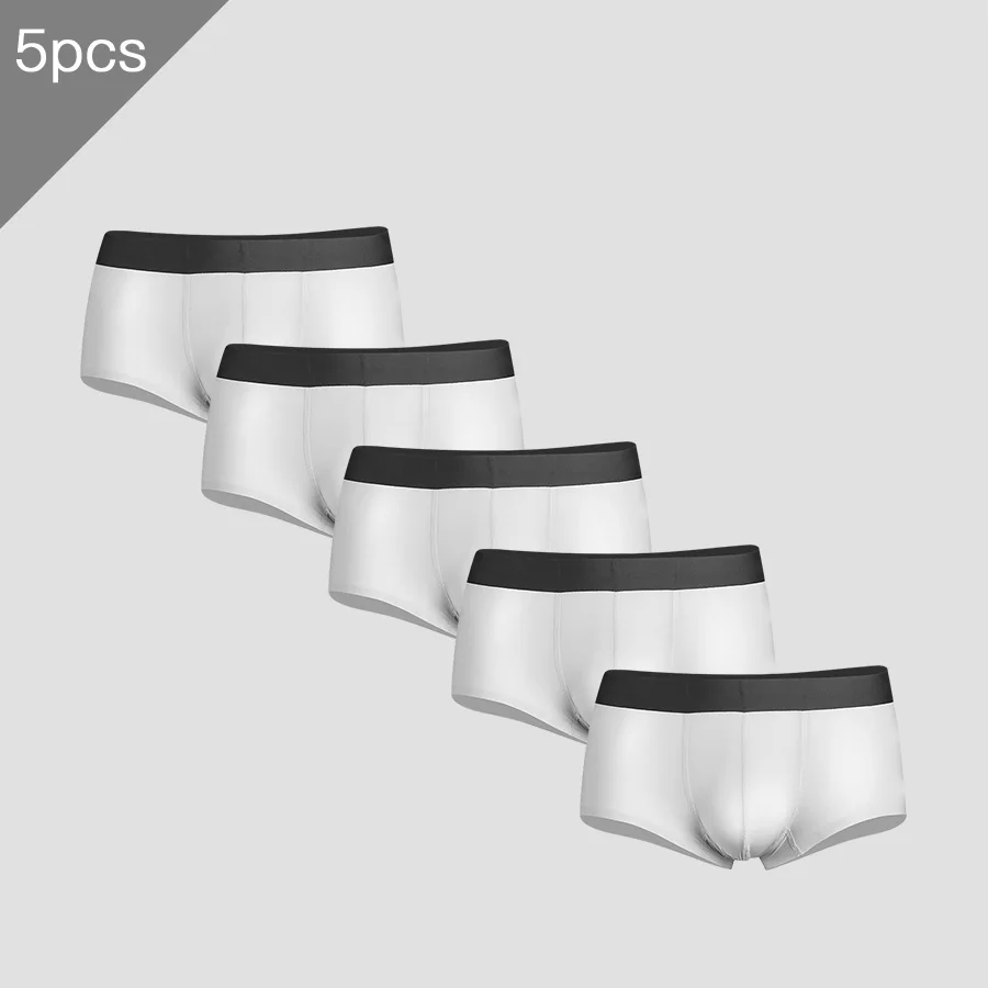 

5PCS Men's underwear, men's charm, summer ultra-thin ice silk seamless flat pants, men's transparent shorts