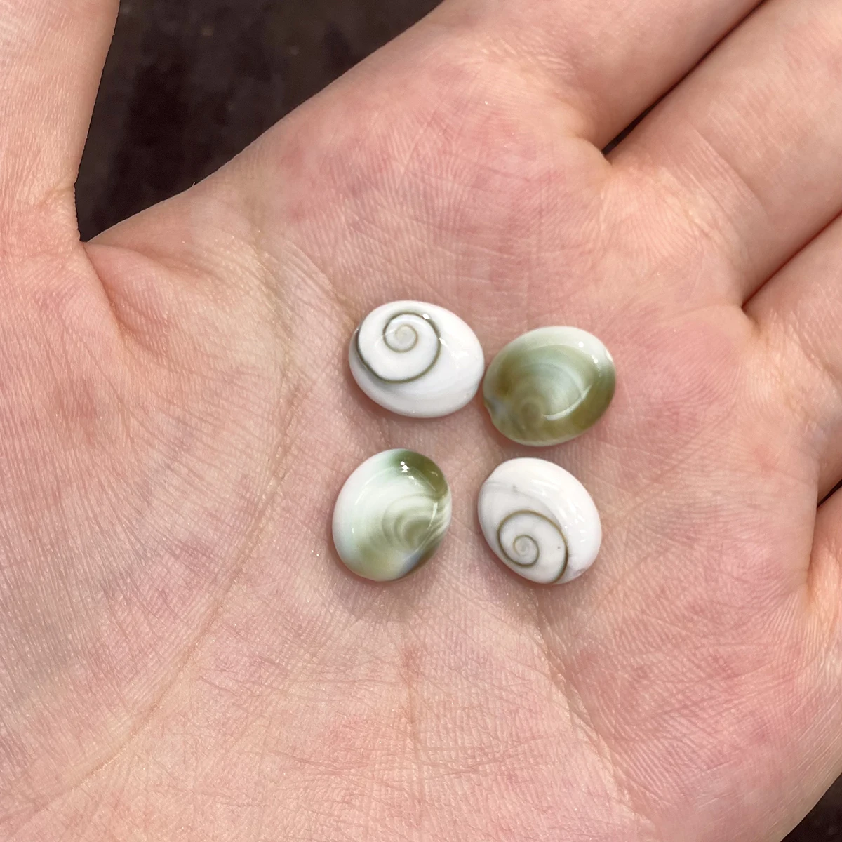 10pcs Oval Through-Hole Beads Natural Conch Shell Semi-Finished Loose Beads for Jewelry Making DIY Necklaces Bracelets Accessory