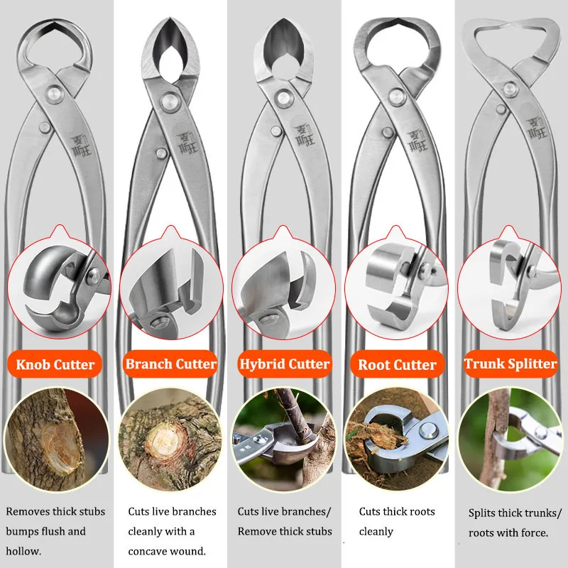 Premium Bonsai Tool Set Stainless Steel Cutters Shears Rake with Zippered Canvas Organizer for Gardeners