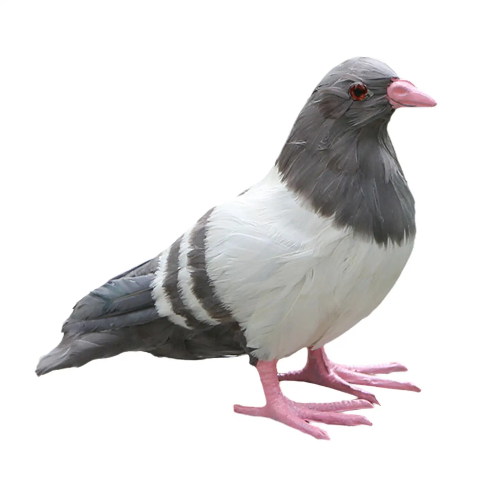 Pigeon Statue Vivid Imitation Bird Model Ornament Craft Decorations Artwork Dove