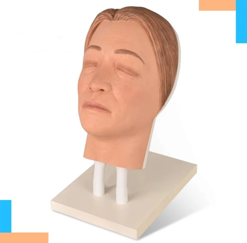 Asian Mannequin Head Facial Injection Manikin Silicone Mannequin Head Injection Simulator Female Face Model for Training Use