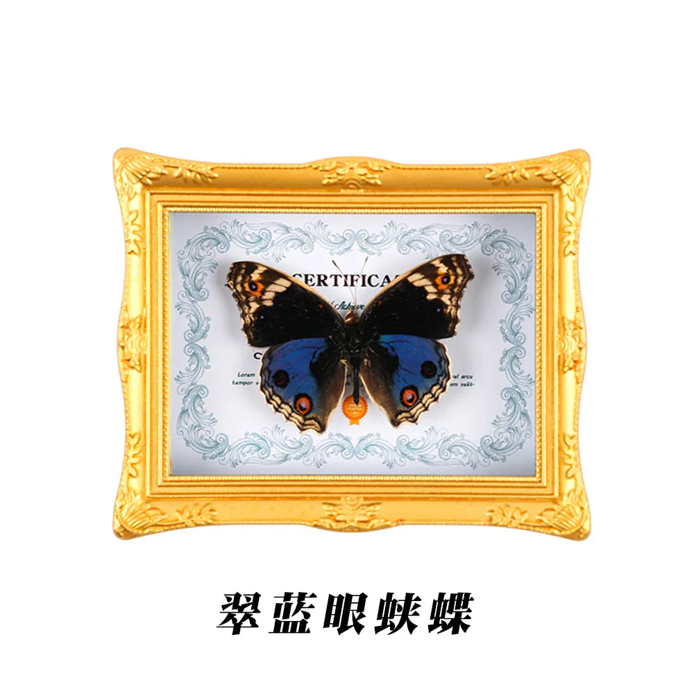

Home Decorations, Real Butterfly Refrigerator Magnets, Real Butterfly Photo Frames, Photo Frame Decorative Paintings souvenir