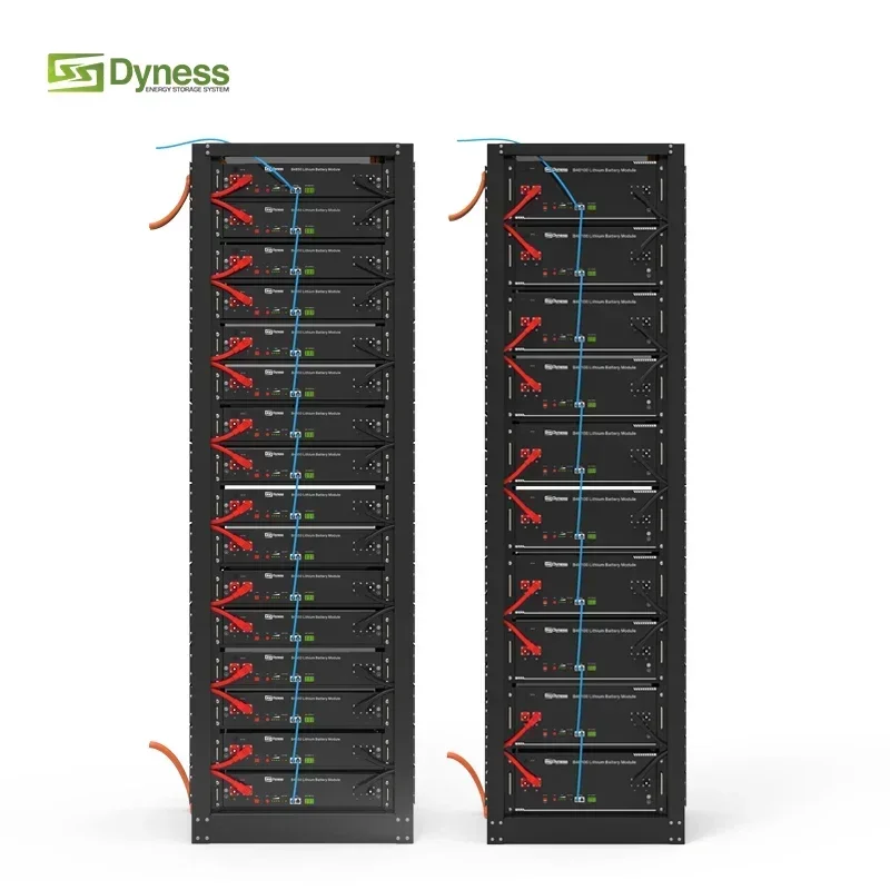 Batteria al litio Dyness 48V 500Ah 24kWh a ciclo profondo Serie rack portatile LiFePO4 per sistemi solari e commerciali