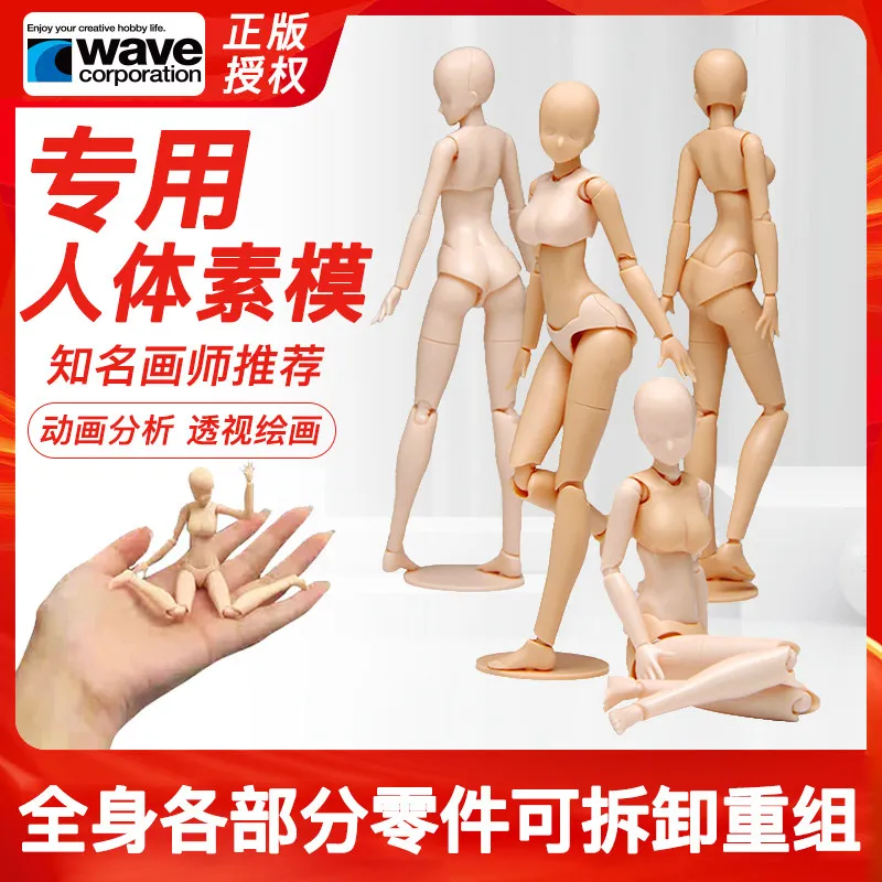 Wave Element Human BodyJapanese Model Painting A woman's Doll Joint Movable Figure Art Manga Sketching