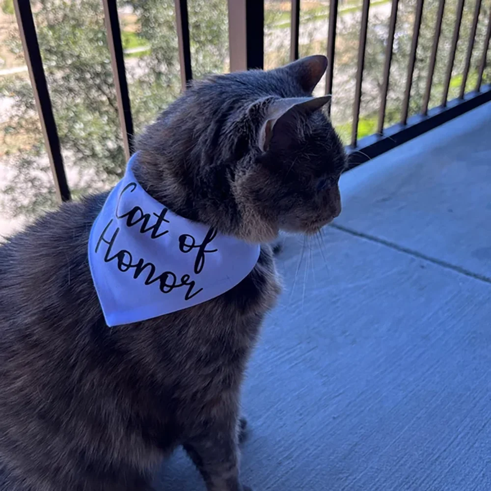 

Cat of Honor Wedding Bandana Scarf Engagement Bridal Shower Bride To Be Bachelorette Party Decoration Wedding Photo Shoot Gift