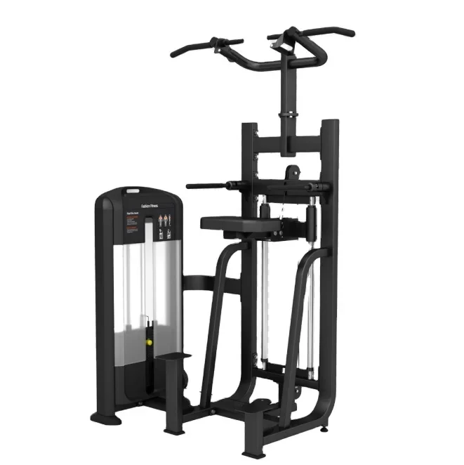 Boxing Gloves Body Building Palfinger Running Machine Bodybuilding Washers FB09 Dip/Chin Assist