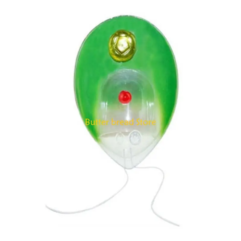 

W89C Chlamydomonas модель модели одноклеточной модели Анатомическая модель модели
