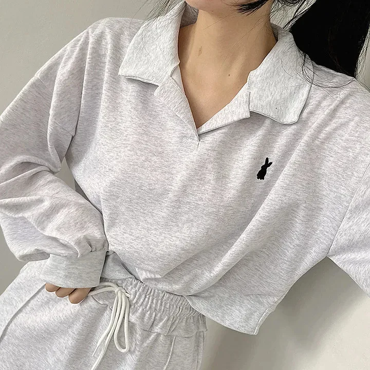 2023 Autumn Solid Casual Long Sleeve T-shirts Suits Female Pullover Women 2 Piece Shorts Sets Slim Knitted Polo Top Soft