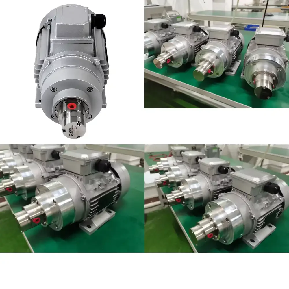

Heavy Fuel Oil Gear Pump Micro Magnetic Drive Circulation Water Pump for Industrial Boilers for for for for