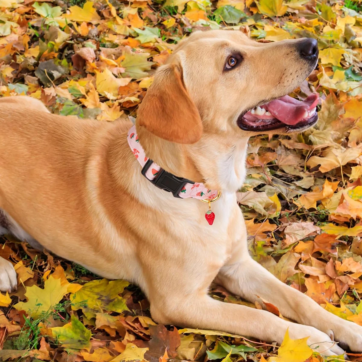 Solides Hundehalsband aus Baumwolle mit niedlichem Herz- und Erdbeer-Anhänger-Design, für kleine, mittelgroße und große Hunde, handgefertigter Anhänger für Haustiere, Katzen, Welpen – Detail 3