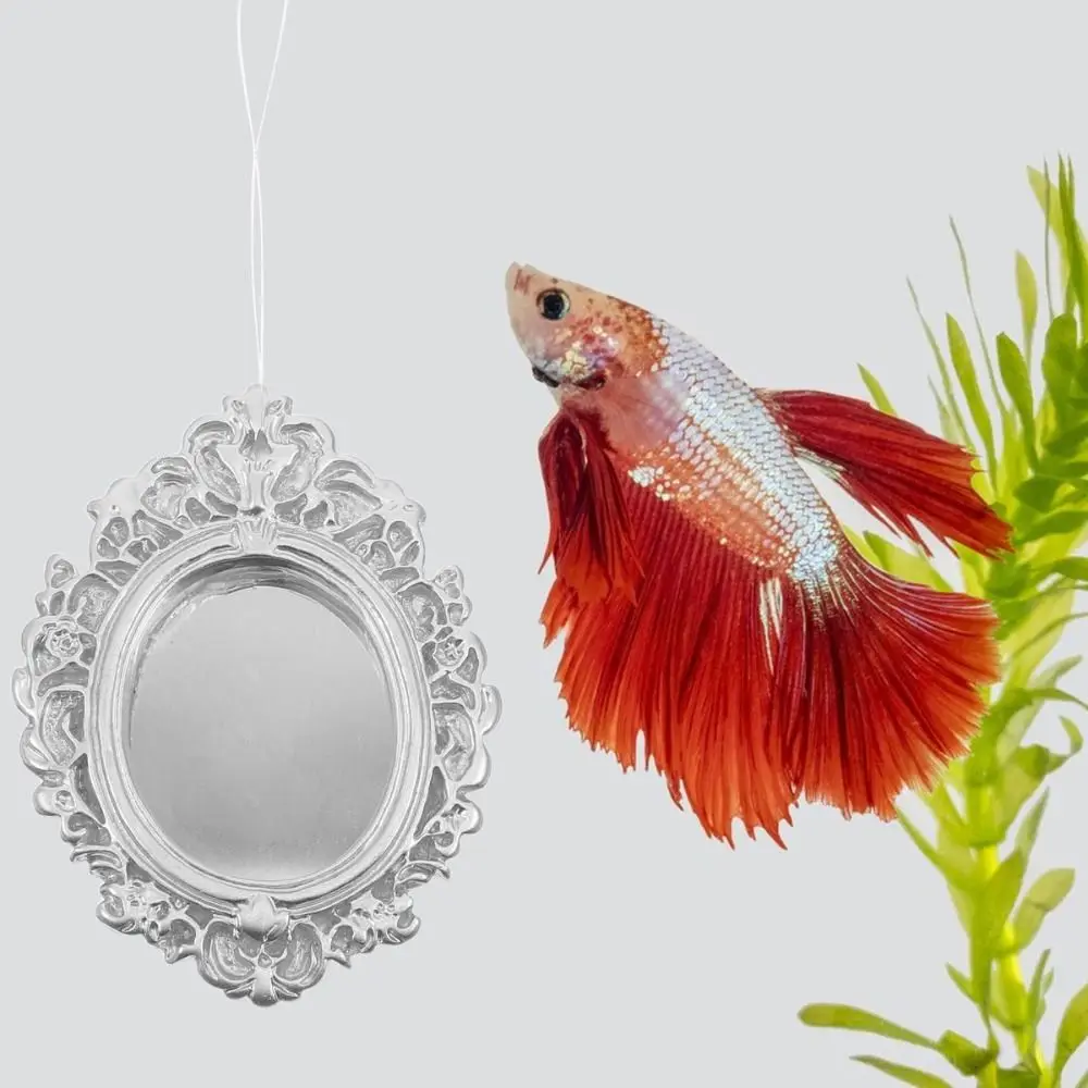 Accessorie Floating Design Betta Training Mirror Training Tool Interactive Fish Tank Mirror Betta Betta Fish