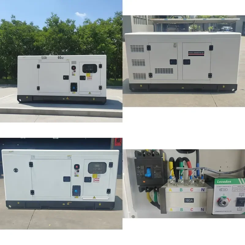 Competitive Price Open Frame Silent Type Generator 15kva 20kw 60HZ 3 Phase Water Cooled 99% Efficiency ATS Option 24V