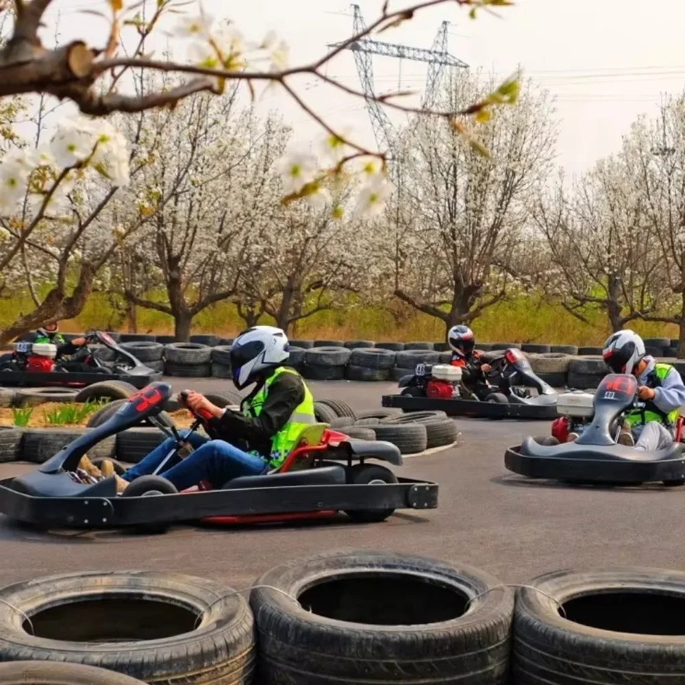 Cheap Professional Racing Go Kart