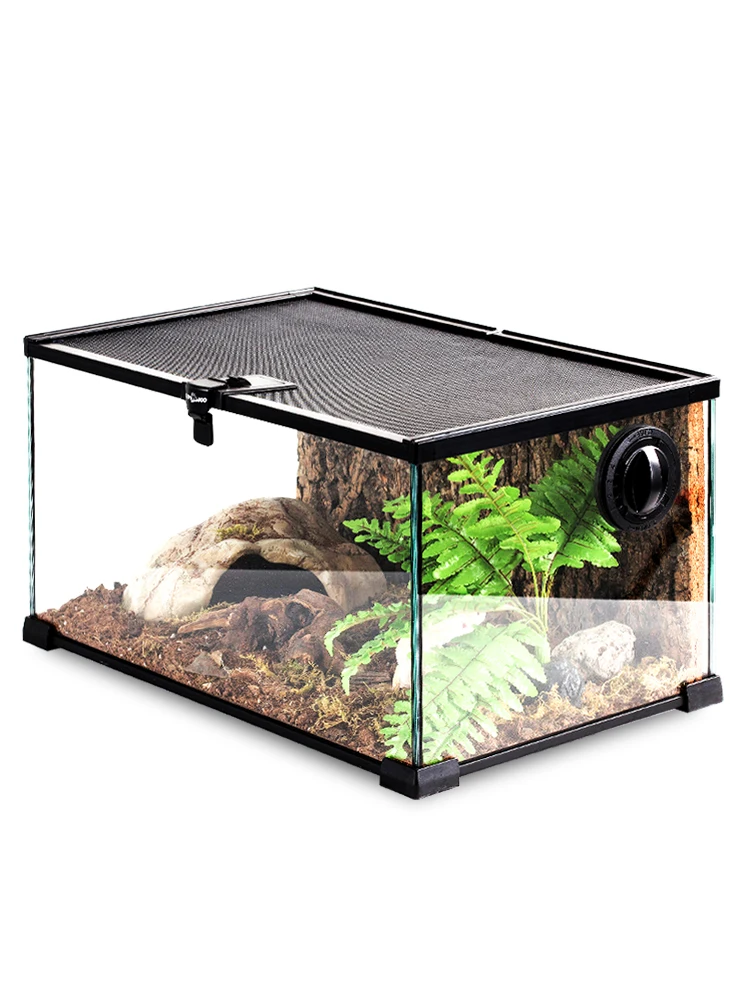 

Horned Frog Feeding Box Lizard Beetle Feeding Box Climbing Pet Reptile Rainforest Tank Guardian Box