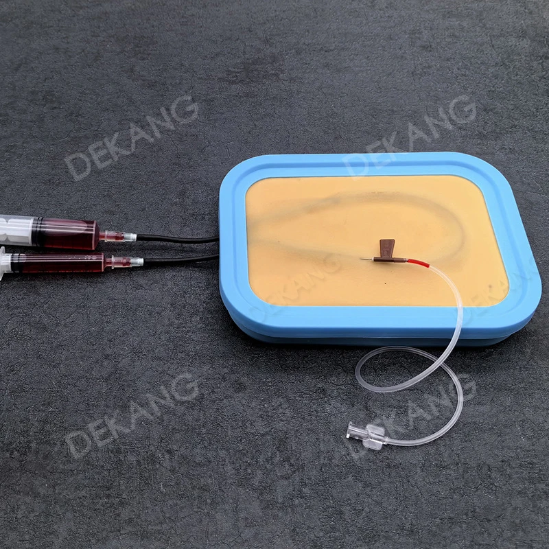 Modello di pratica dell'iniezione dell'infusione Insegnamento dell'ago Inserimento Raccolta del sangue Raccolta del sangue Stampo per la pelle per puntura dei vasi sanguigni