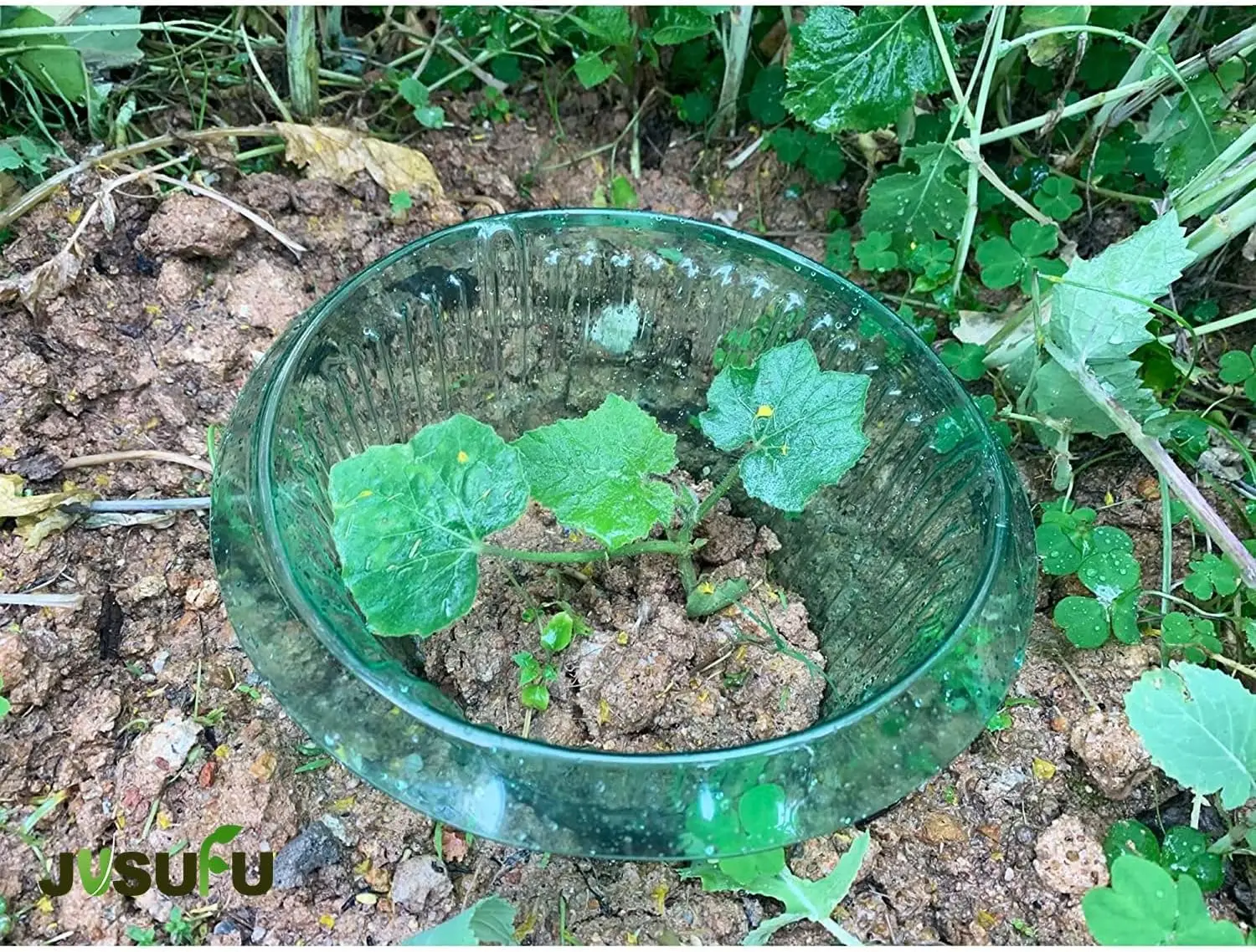 1/30pcs Plants Slug Protection Rings Green Planter Flower Pot Snail Vegetables Cover Reusable Pest Control Trapper Garden Tool