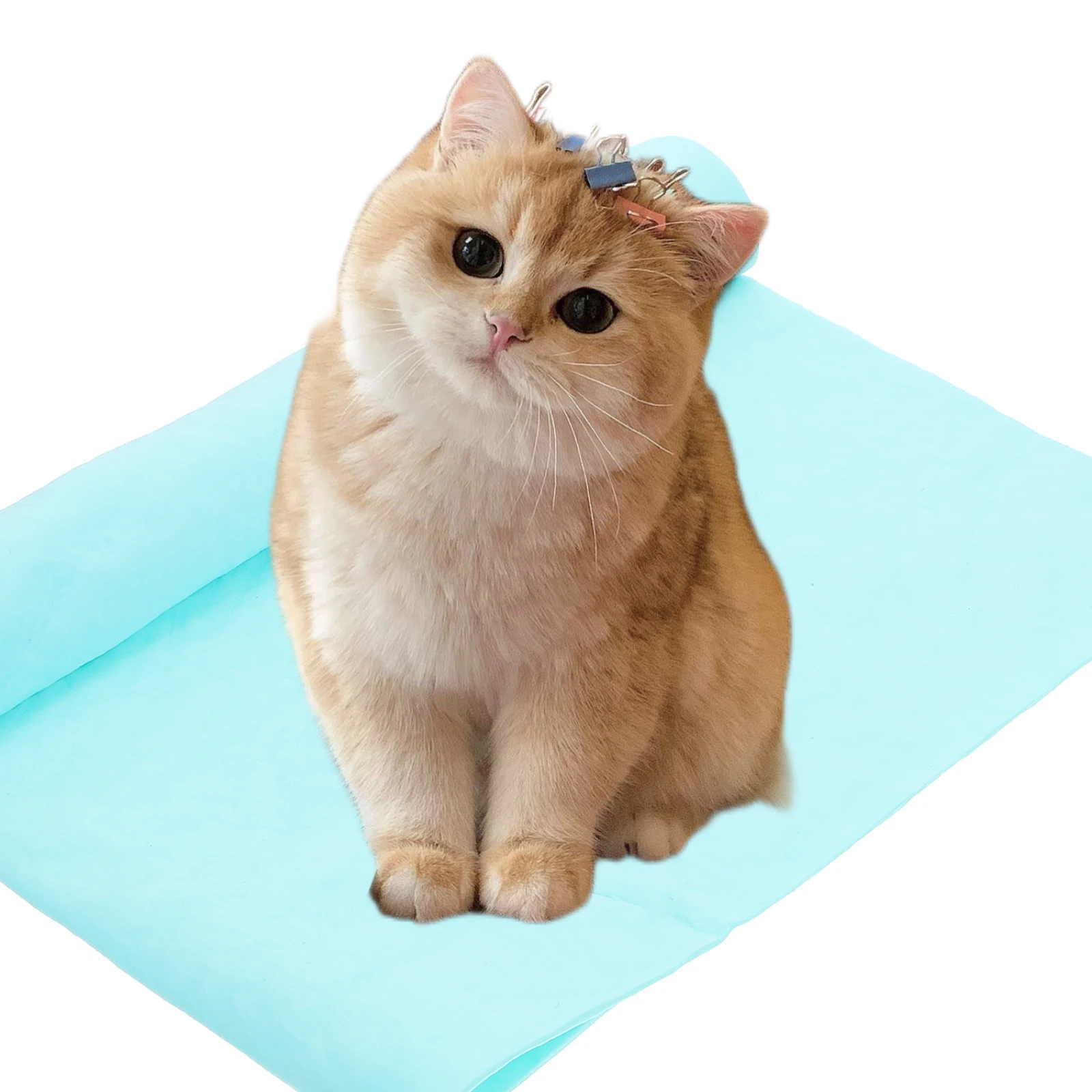 2 Pcs Pet Absorbent Towel Cat Oversized Bath Towels Puppy Grooming Fast Drying Bathrobe Washing Pva Quick Wrapping Cloth