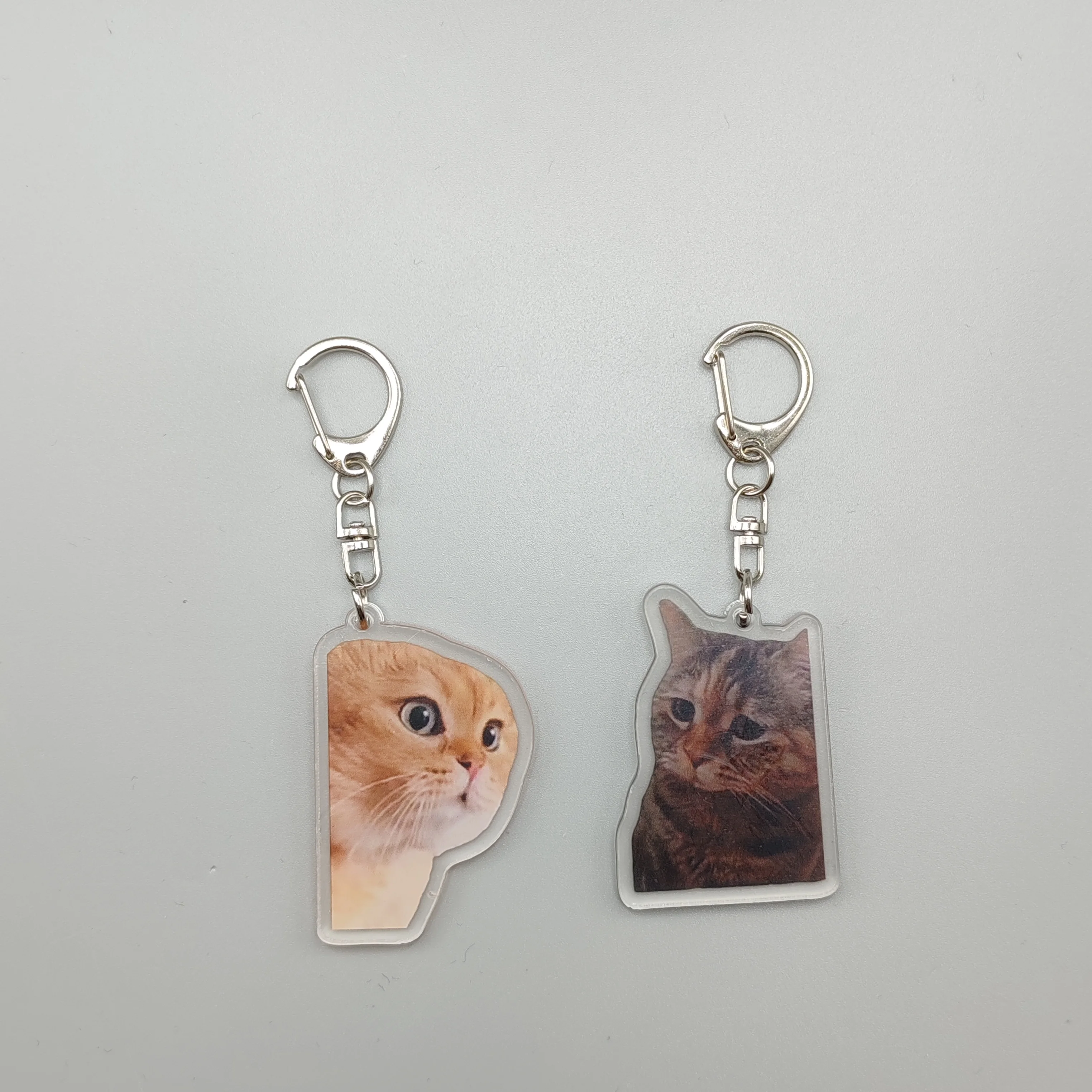 Wholesale Keychains, Bulk Purchases, Discounted Prices, Cat Meme Keychains, Cute Pendant