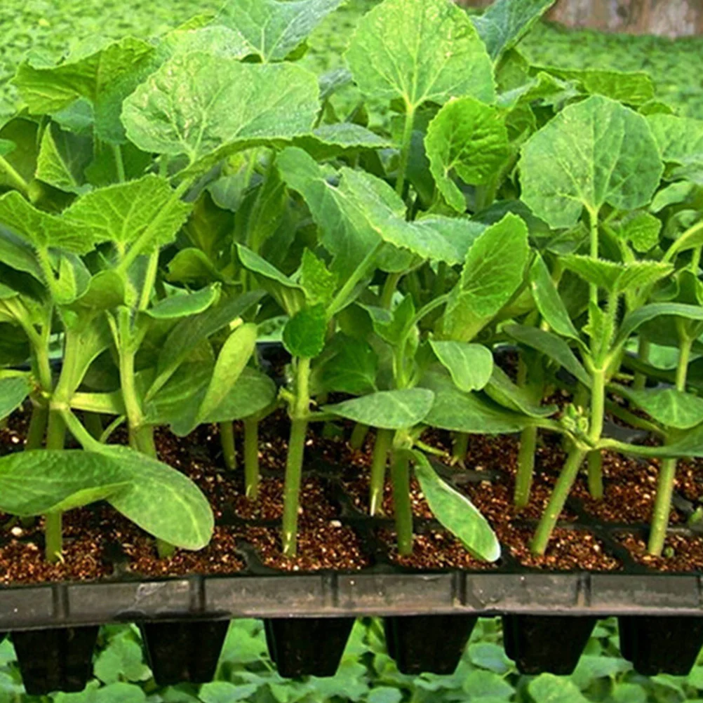 

8pcs 200 Hole Seedling Trays Germination Starter Planting Vegetable Tray Plastic Cell Planter Easy Transplant