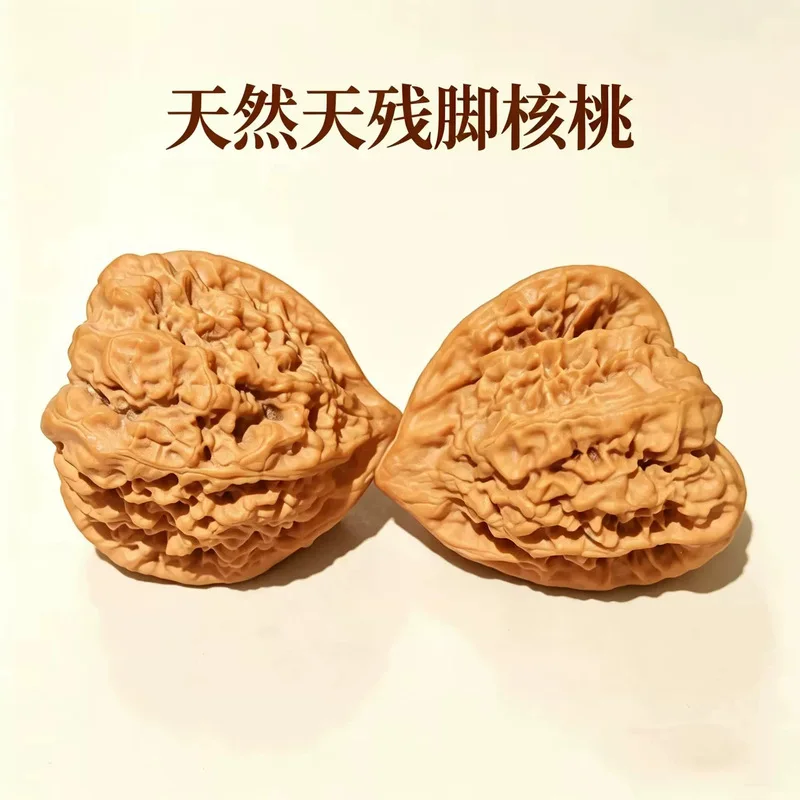 A unique piece of collectible walnut, featuring a natural, rare, and imperfect shape, resembling an angel's foot, a distinctive